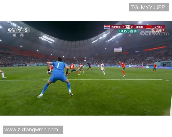 跳动的星辰 足球场上的传奇人物与不朽梦想 跳动的星辰 足球场上的传奇人物与不朽梦想