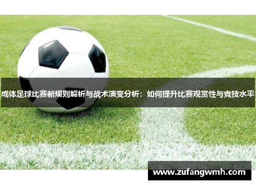 成体足球比赛新规则解析与战术演变分析：如何提升比赛观赏性与竞技水平